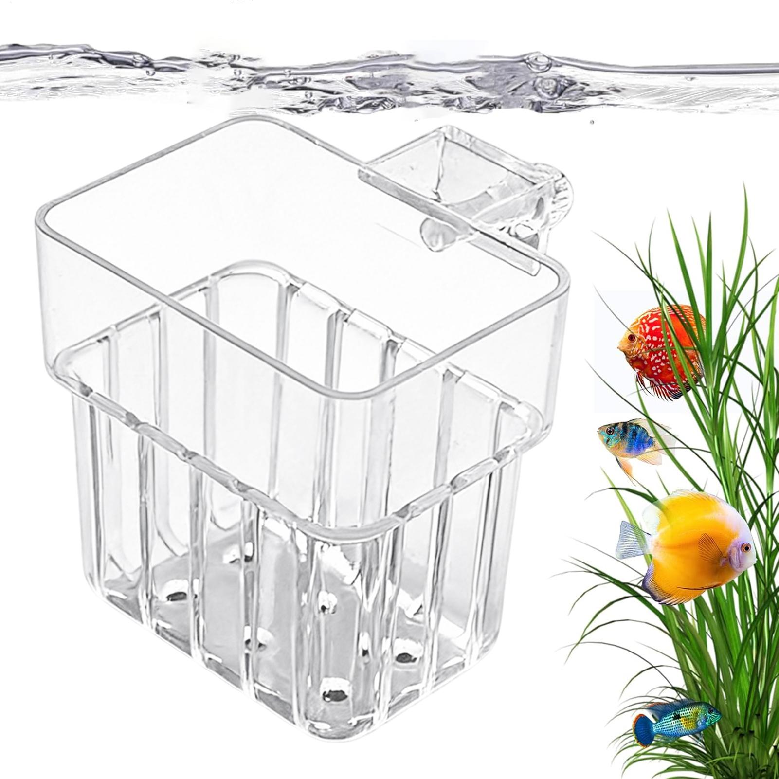 Aquarium Fish Names - Vaso Trasparente Appendibile per Piante Acquatiche,