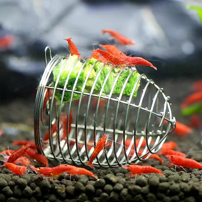 Aquarium Fish Price - Acquario in acciaio inossidabile Piccolo alimentatore