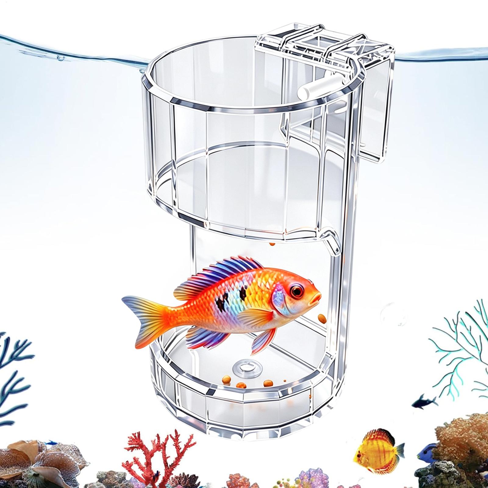Aquarium Fish Price - Ciotola Trasparente per Acquario, Contenitore Porta