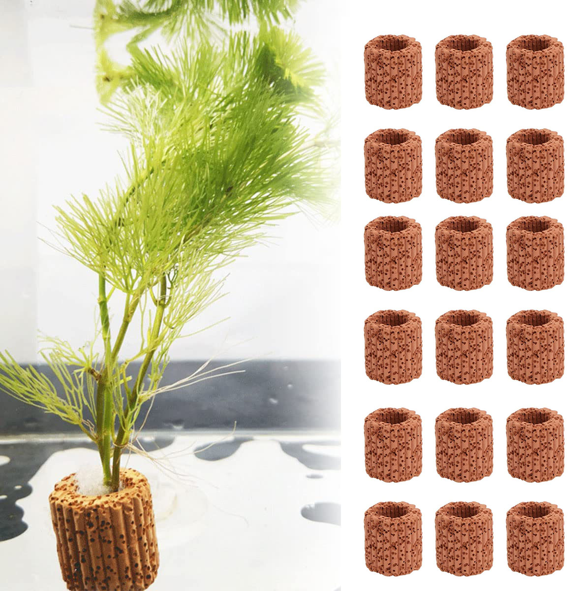 Aquarium Fish Pot - 10/20Pcs Base ad anello fisso per