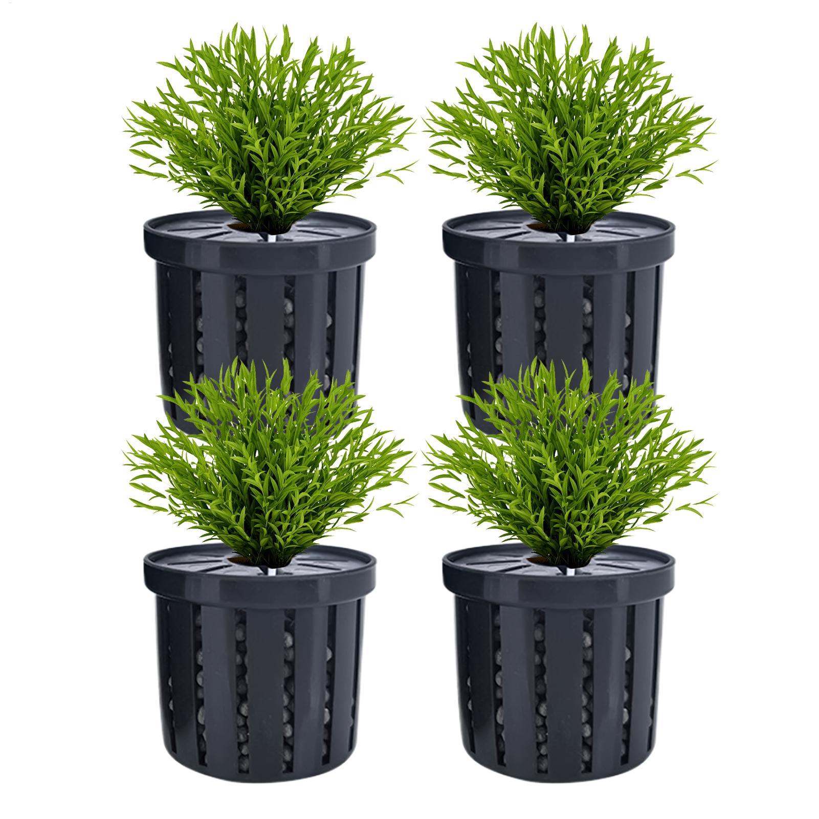 Aquarium Fish Restaurant - Set di 4 Portapiante per Acquario,
