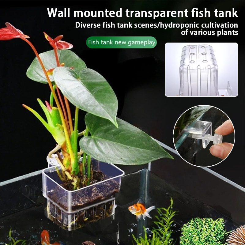 Aquarium Fish Pot - Vasi pensili per acquario, supporti a
