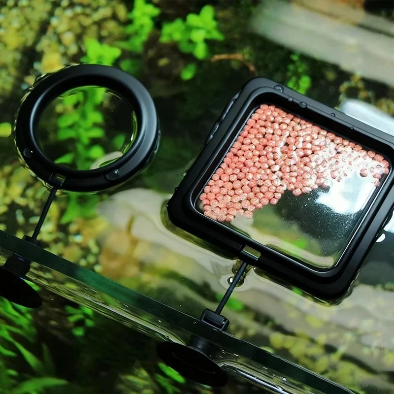 Aquarium Fish Price - 1/3 pezzi Anello per l'alimentazione dei