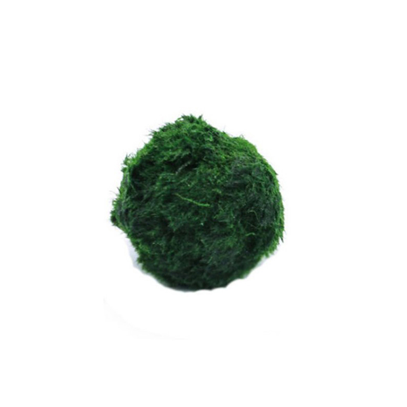 Aquarium Fish Items - Marimo Moss Balls Live Aquarium Plant