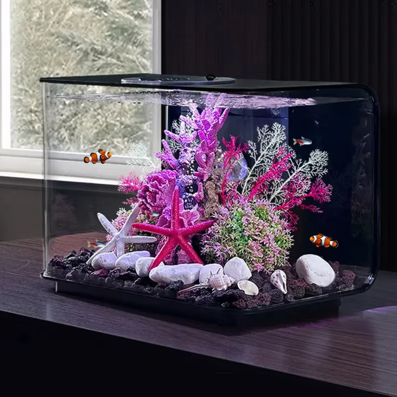 Aquarium Fish Supplier - Acquario da Salotto, Piccolo Acquario da