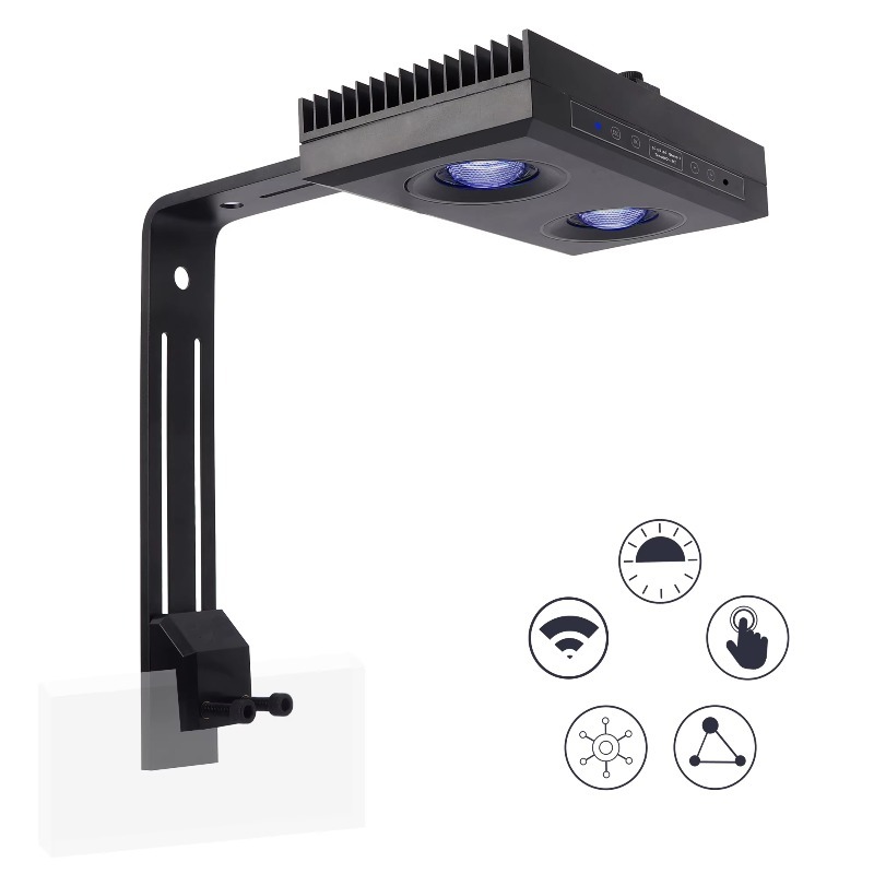 Aquarium Fish Supplier - Luce per acquario a LED blu