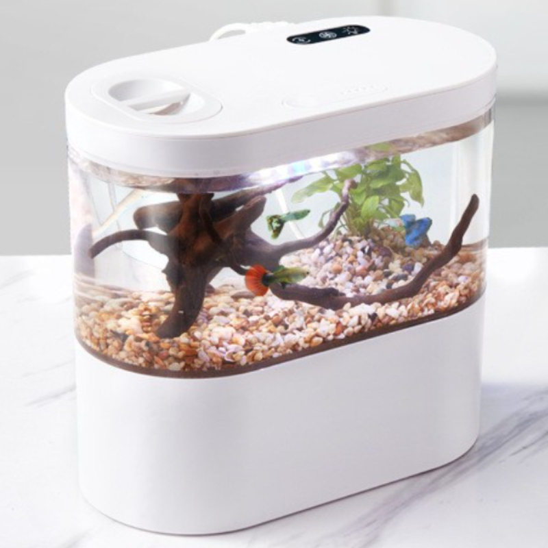 Aquarium Fish Betta - Acquario da Tavolo Creativo con Sistema