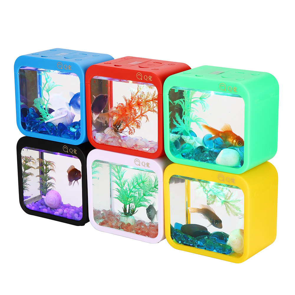 Scatola Betta creativa colorat - Aquarium Fish Betta recensione e prezzo