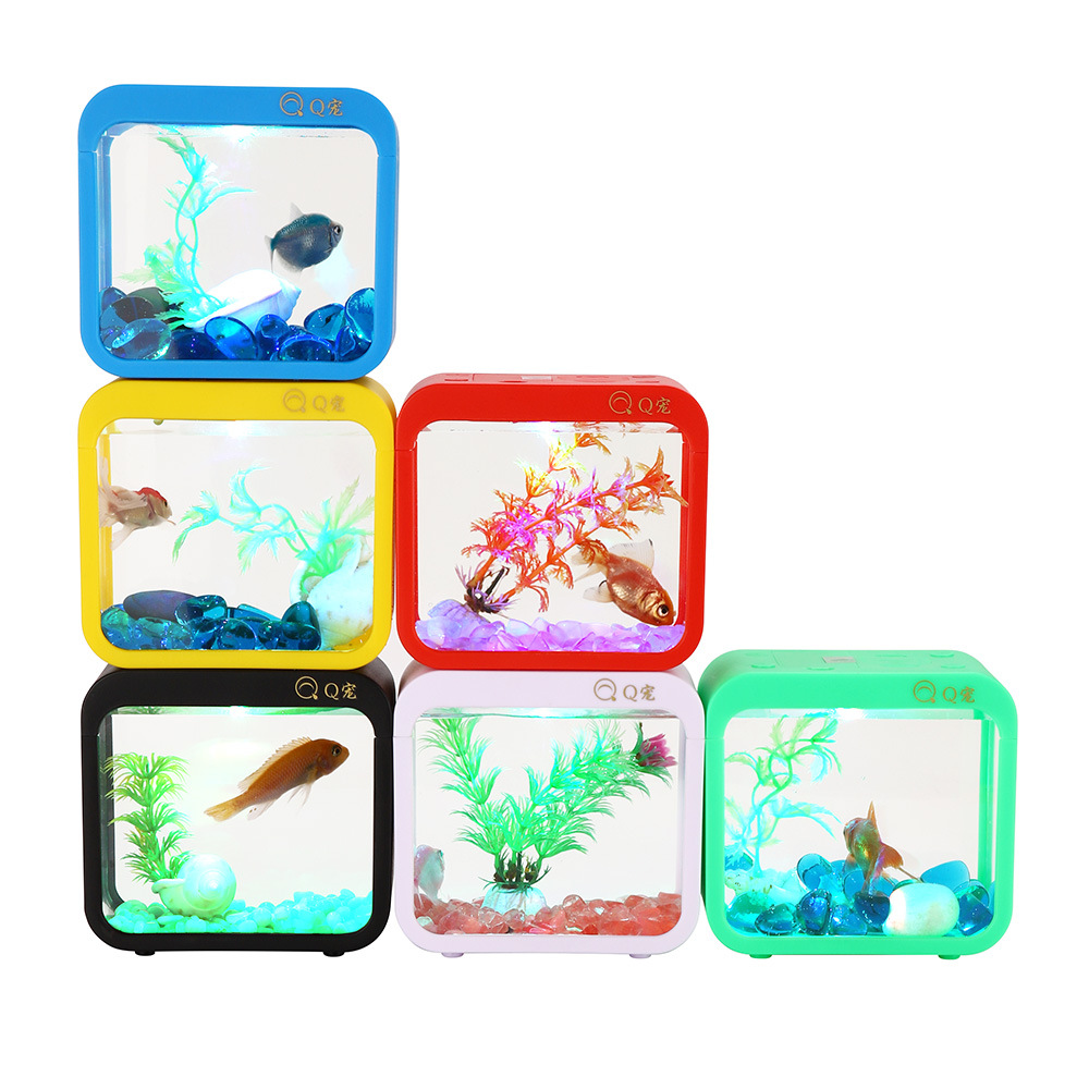 Scatola Betta creativa colorat - Aquarium Fish Betta recensione e prezzo