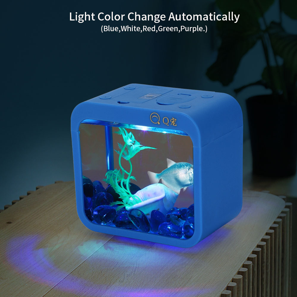 Scatola Betta creativa colorat - Aquarium Fish Betta recensione e prezzo