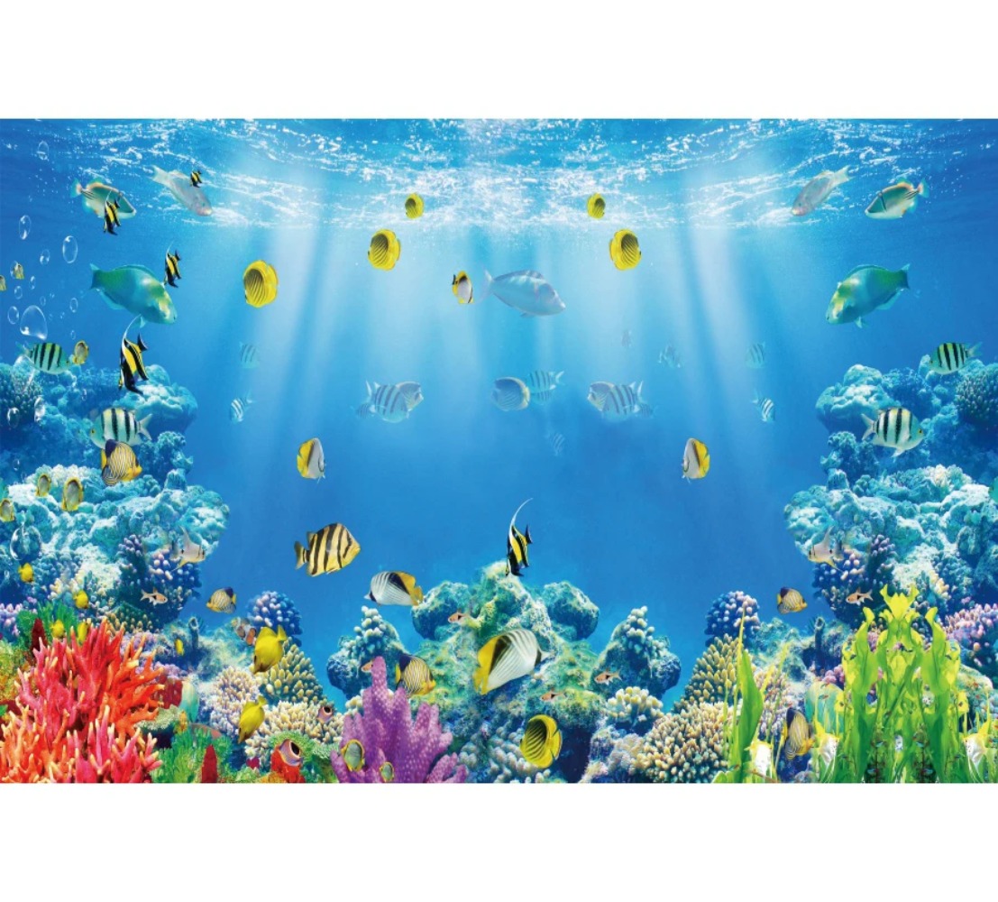 Sfondo Fotografico a Tema Acqu - Aquarium Fish Of The World recensione e prezzo