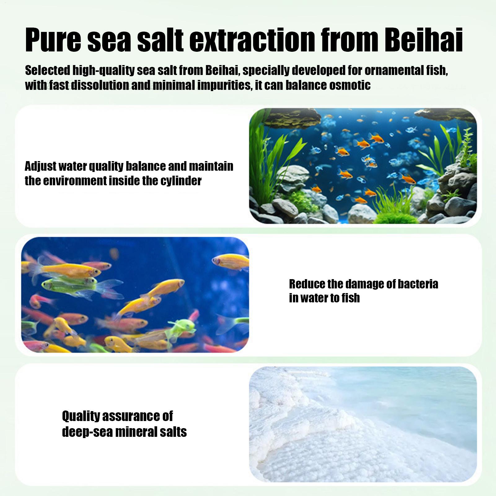Purificatore d'acqua per acqua - Aquarium Fish Betta recensione e prezzo