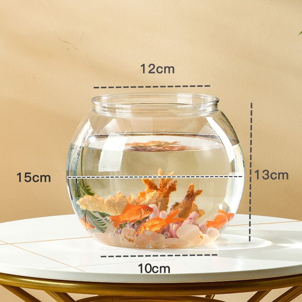 Acquario da tavolo rotondo tra - Aquarium Fish Names recensione e prezzo