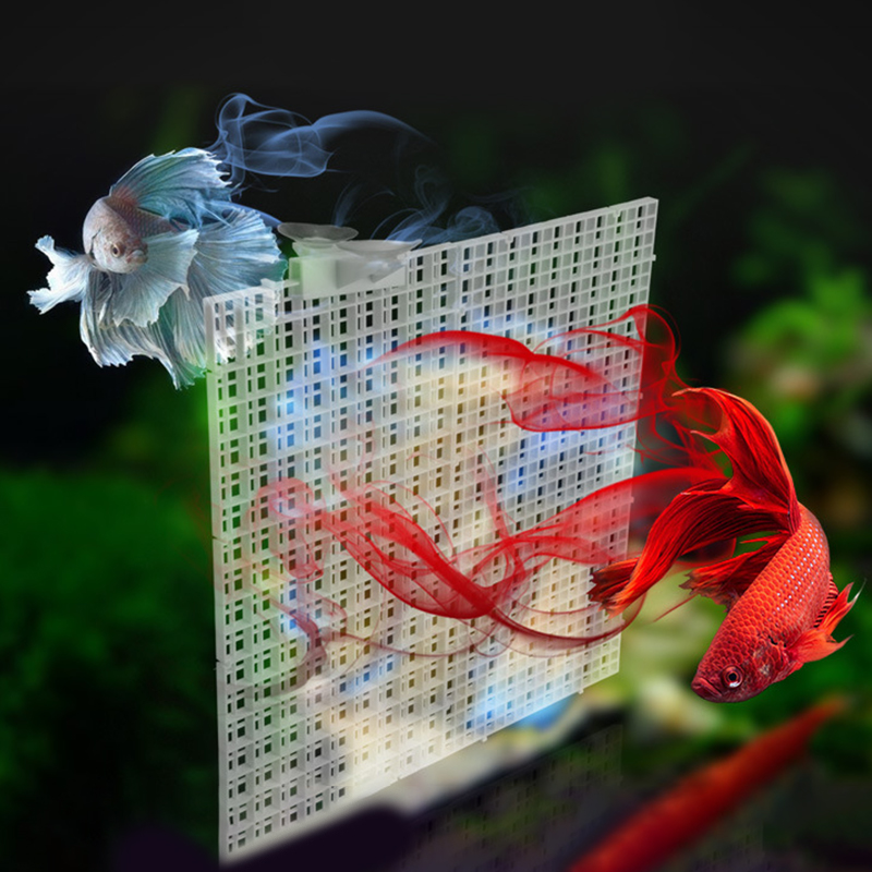 30x15cm 30x30cm piastra diviso - Aquarium Fish Net recensione e prezzo