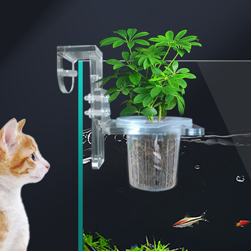 Tazze per piantare acquario Ce - Aquarium Fish Pot recensione e prezzo