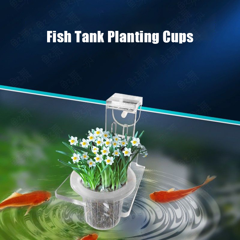 Tazze per piantare acquario Ce - Aquarium Fish Pot recensione e prezzo
