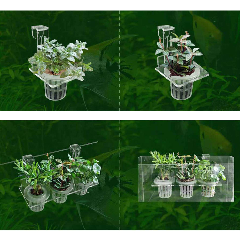 Tazze per piantare acquario Ce - Aquarium Fish Pot recensione e prezzo