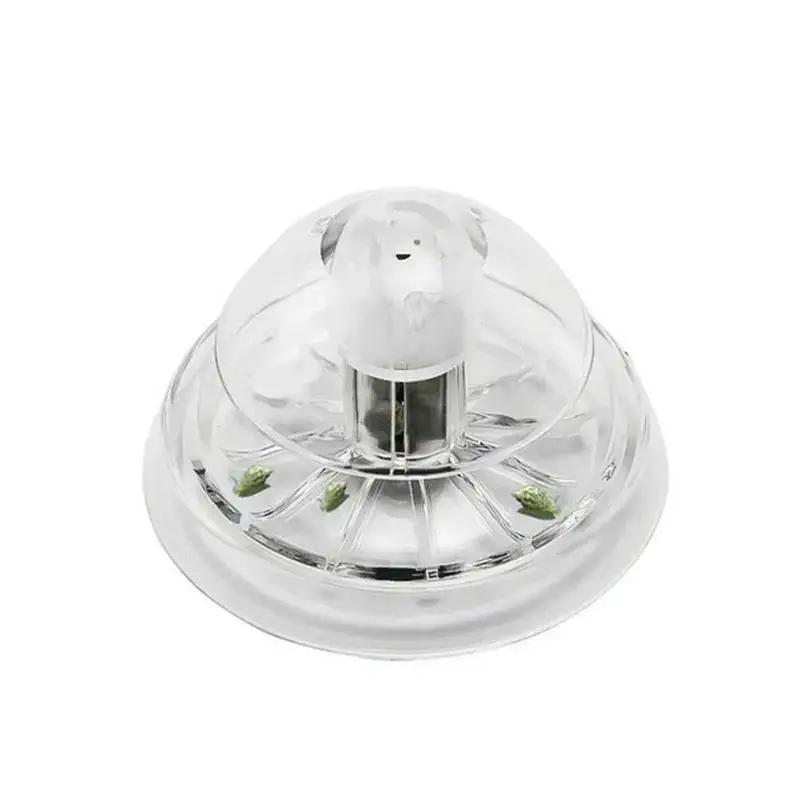 Nuova Trappola per Lumache in  - Aquarium Fish Care recensione e prezzo