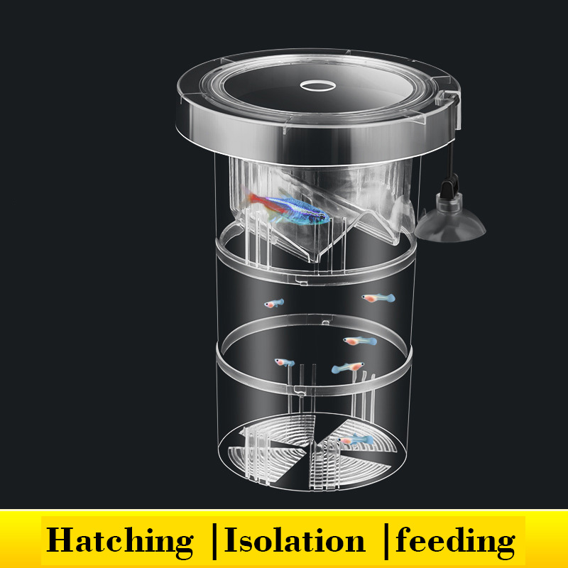Scatola di isolamento per alle - Aquarium Fish Betta recensione e prezzo