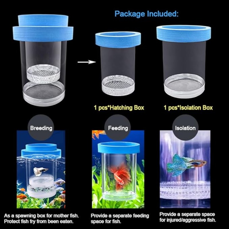 Scatola di isolamento per alle - Aquarium Fish Betta recensione e prezzo