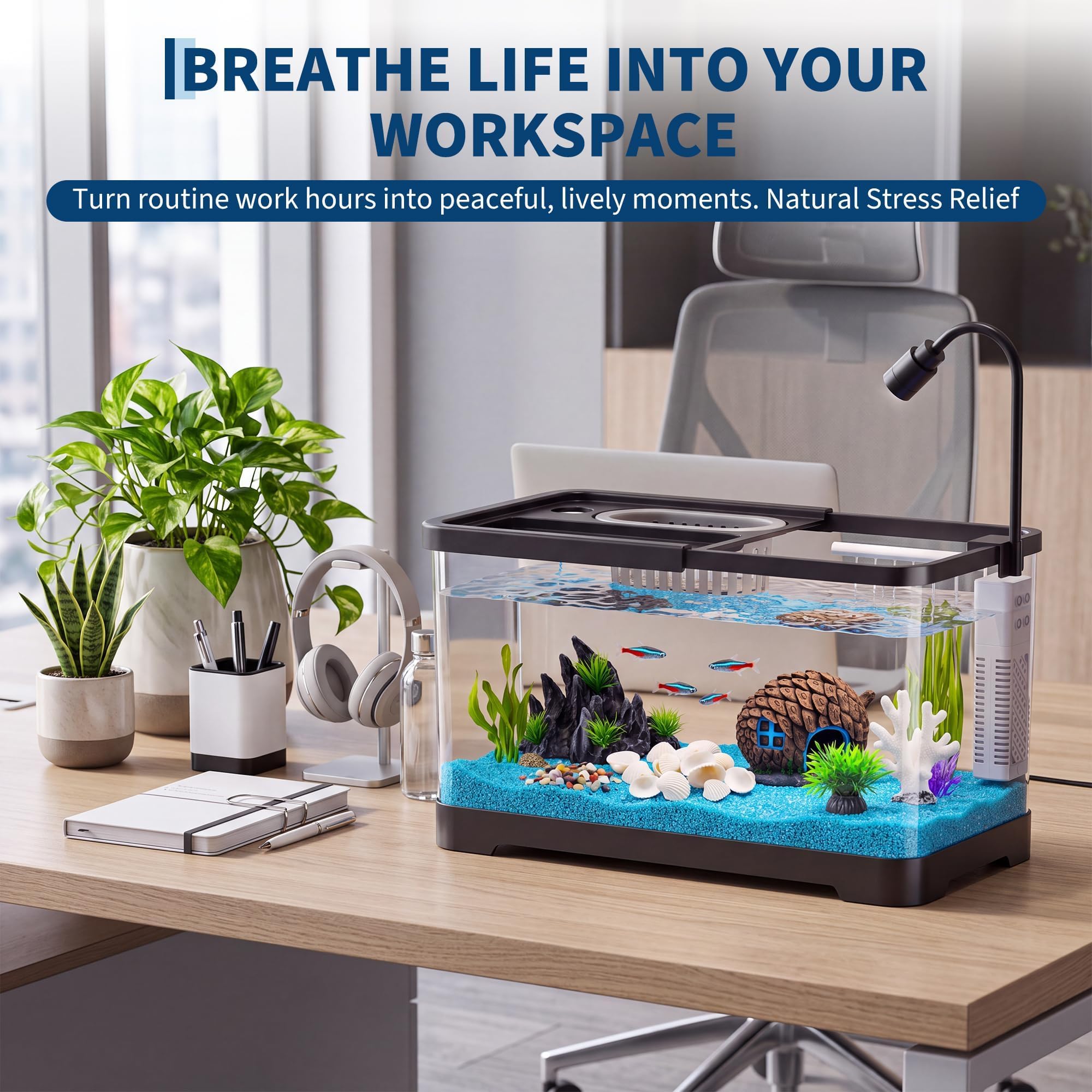 Kit Iniziale per Acquario con  - Aquarium Fish Betta recensione e prezzo