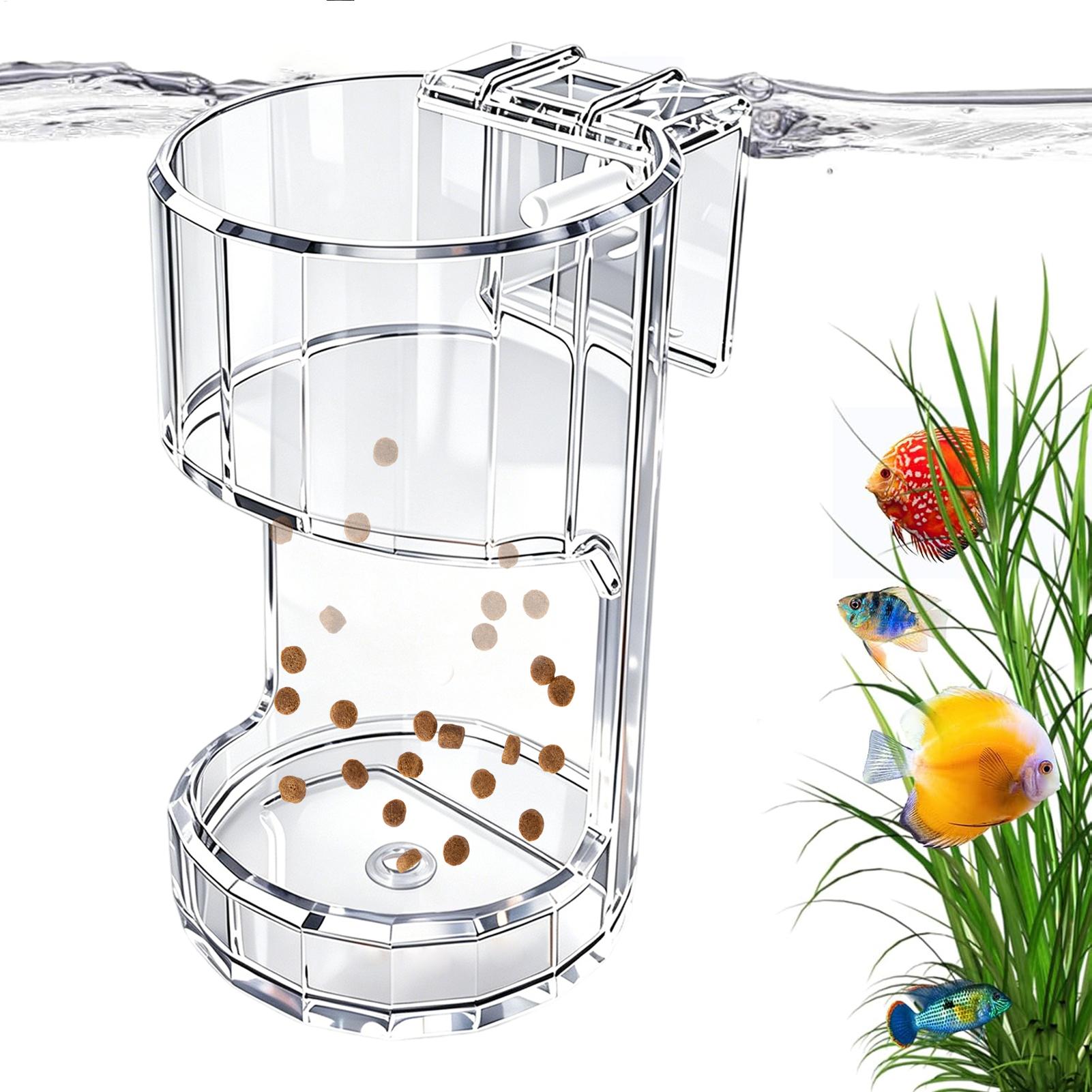 Ciotola Trasparente per Acquar - Aquarium Fish Price recensione e prezzo