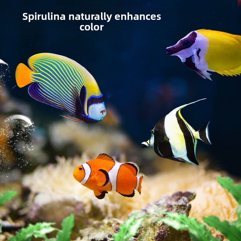 DEERA Pesce pagliaccio e cibo  - Aquarium Fish Price recensione e prezzo