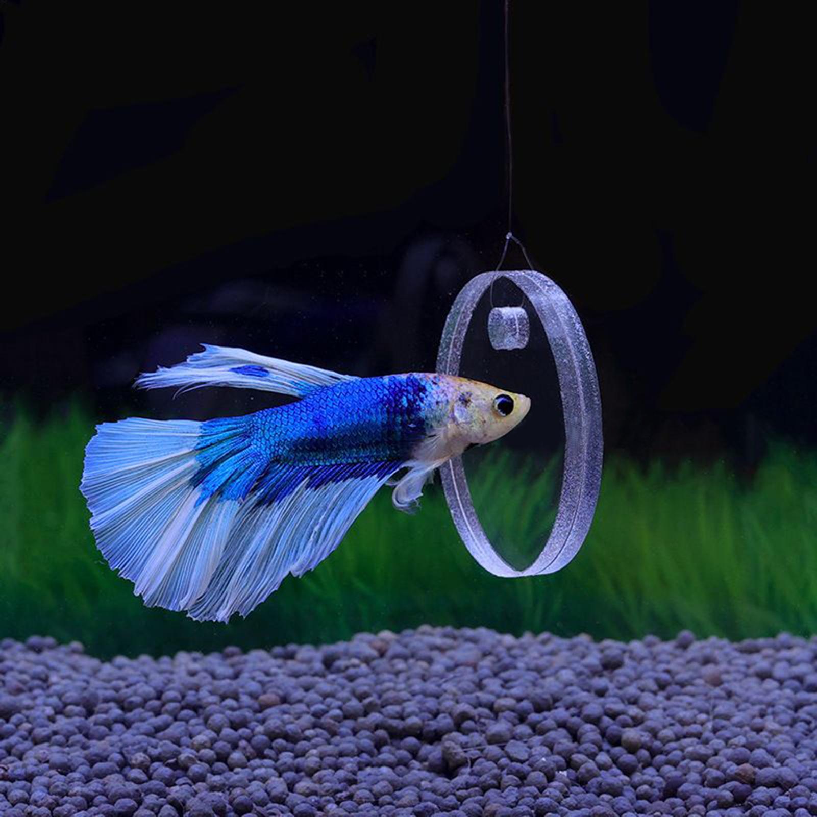2 Pezzi Anello Galleggiante pe - Aquarium Fish Betta recensione e prezzo