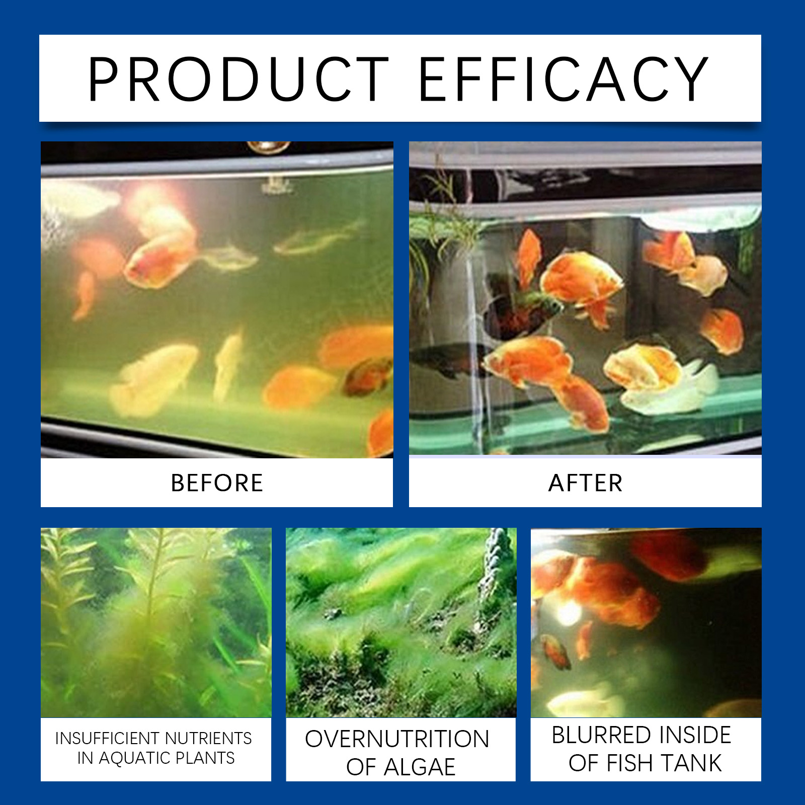 Chiarificatore d'acqua per acq - Aquarium Fish Care recensione e prezzo