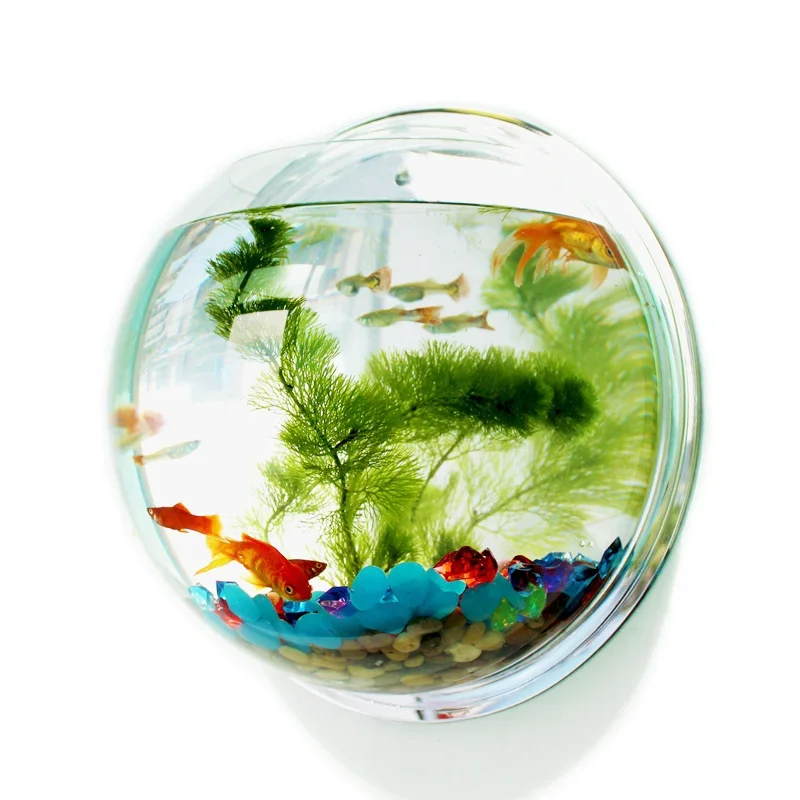 Pinsjar Ciotola per pesci in a - Aquarium Fish Betta recensione e prezzo