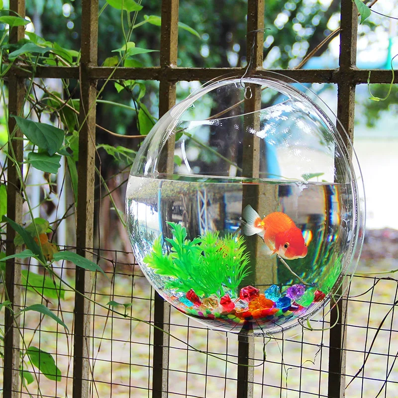 Pinsjar Ciotola per pesci in a - Aquarium Fish Betta recensione e prezzo