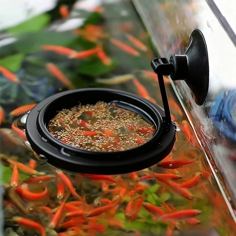 1/3 pezzi Anello per l'aliment - Aquarium Fish Price recensione e prezzo