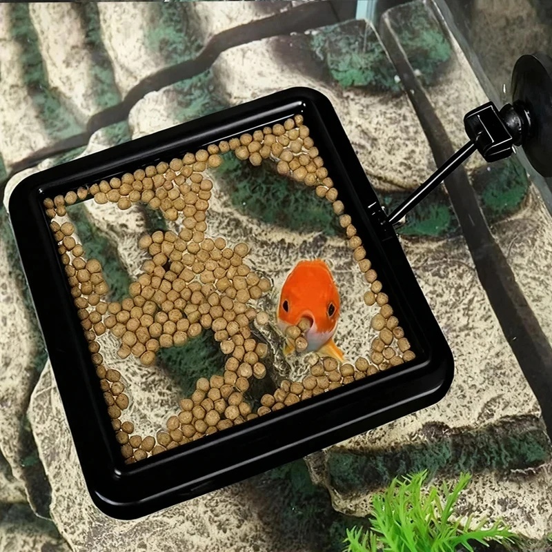 1/3 pezzi Anello per l'aliment - Aquarium Fish Price recensione e prezzo