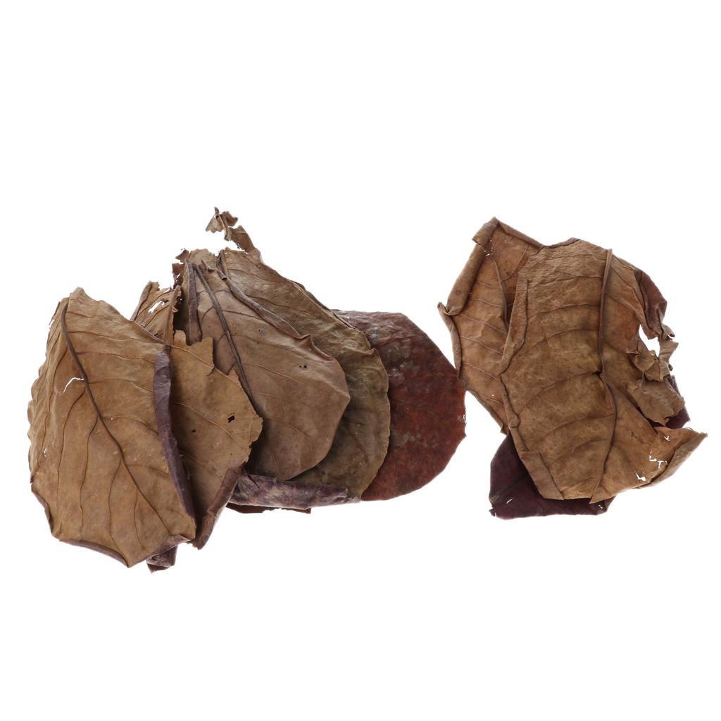 Additivo Filtrante per Acquari - Aquarium Fish Betta recensione e prezzo