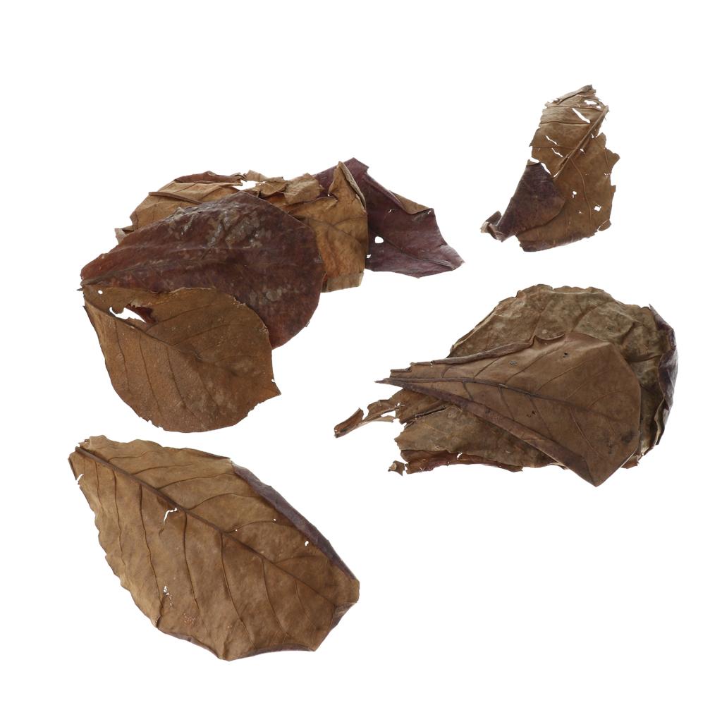Additivo Filtrante per Acquari - Aquarium Fish Betta recensione e prezzo