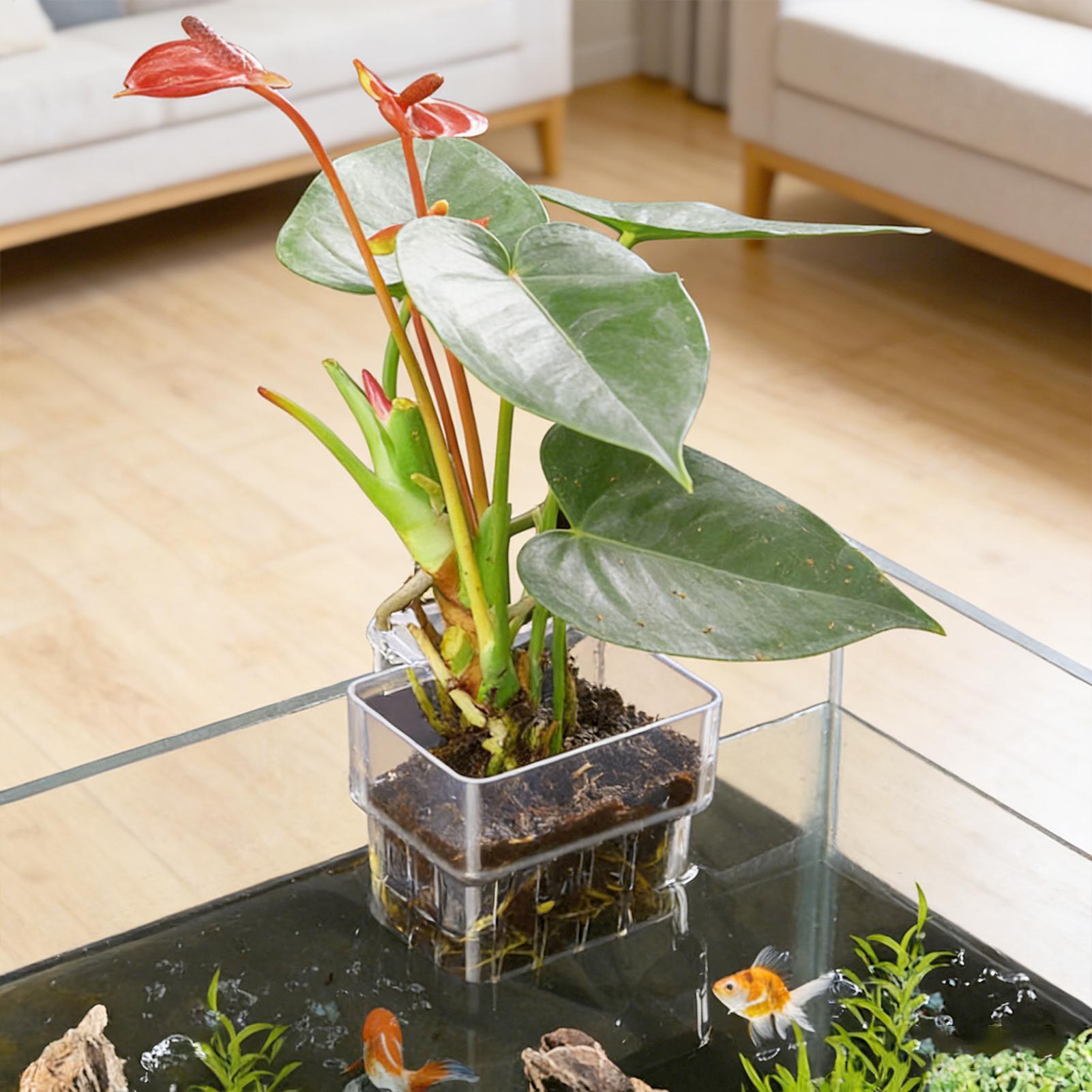 Cesto per Piante d'Acquario Tr - Aquarium Fish Pot recensione e prezzo