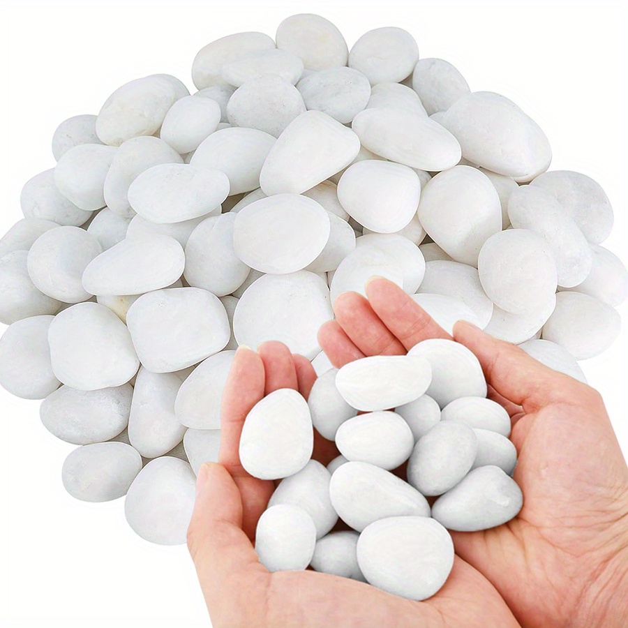 200/400g Bianco Alto Lucido Ci - Aquarium Fish Items recensione e prezzo
