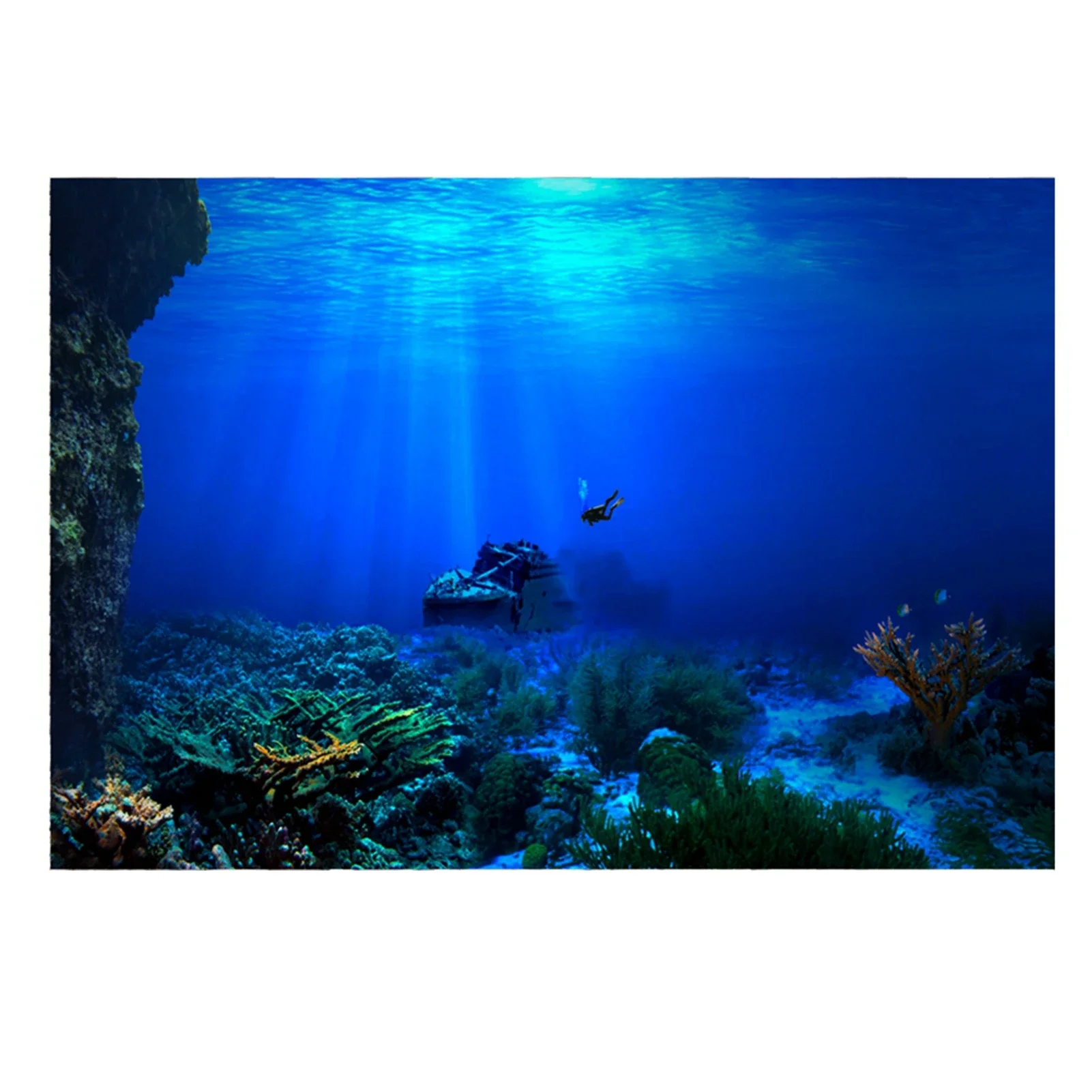 Foresta pluviale acquario sfon - Aquarium Fish Of The World recensione e prezzo