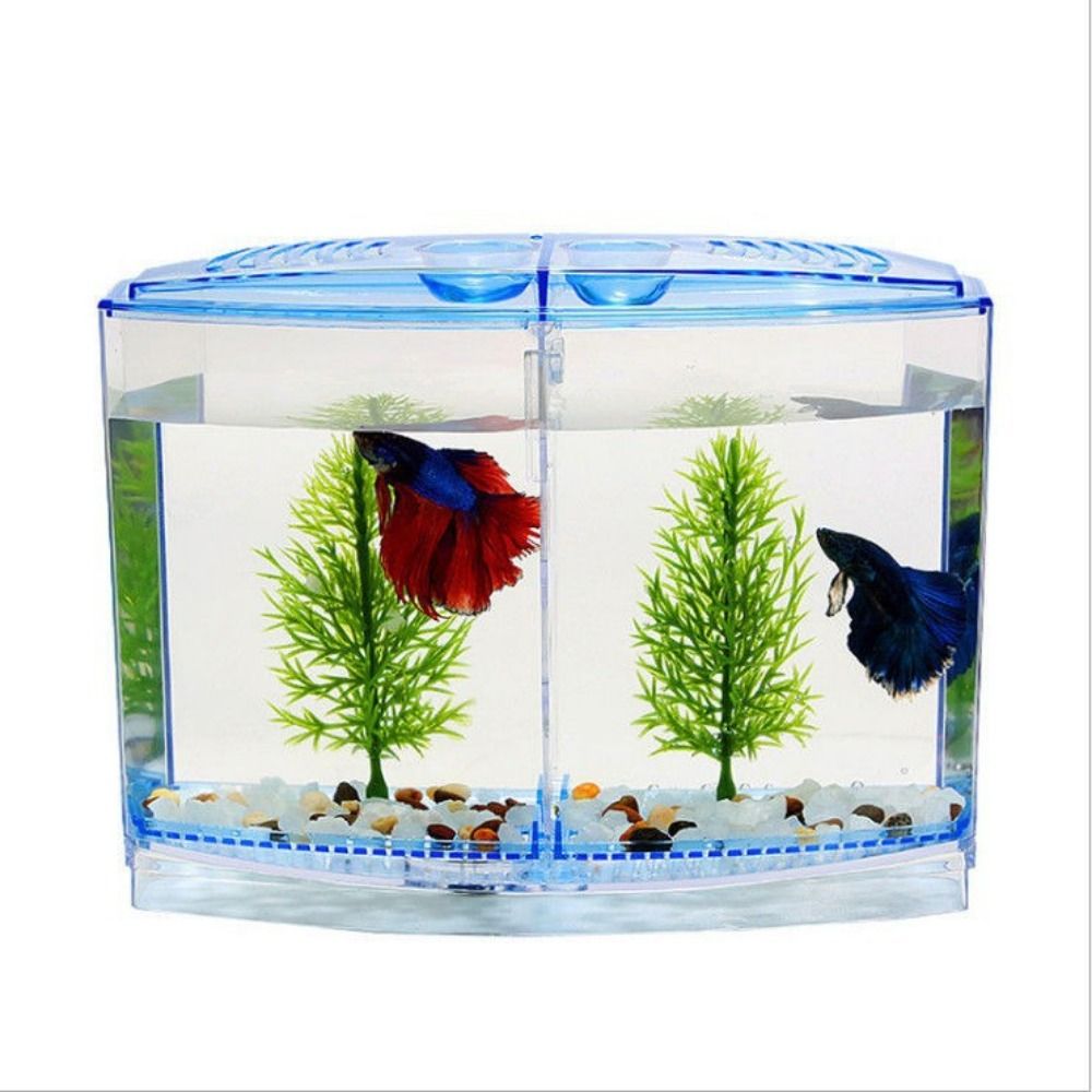 Acquario Betta trasparente, ac - Aquarium Fish Betta recensione e prezzo