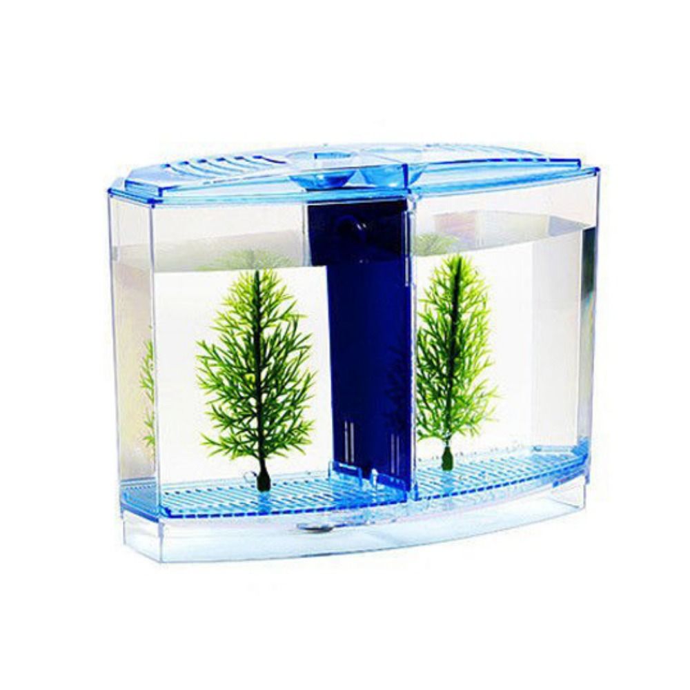 Acquario Betta trasparente, ac - Aquarium Fish Betta recensione e prezzo