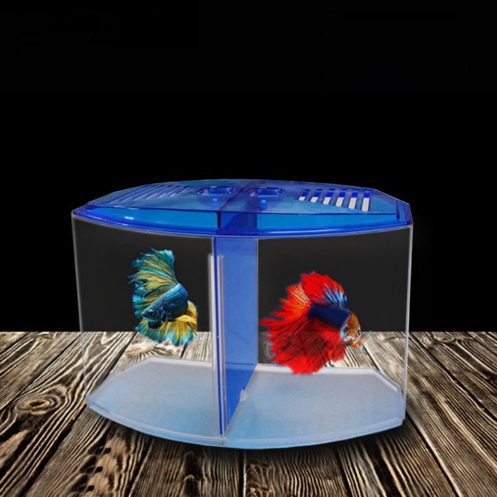 Acquario Betta trasparente, ac - Aquarium Fish Betta recensione e prezzo