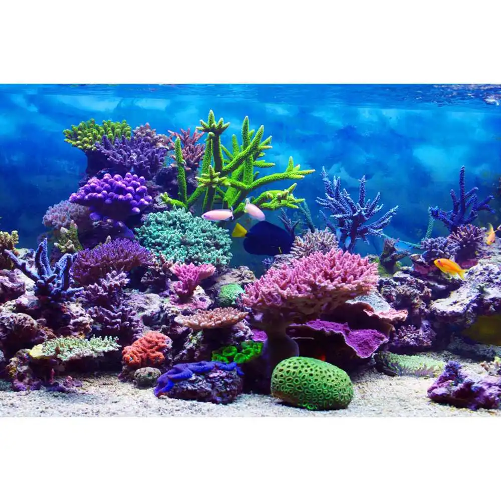 Mondo Sottomarino Sfondo del F - Aquarium Fish Of The World recensione e prezzo