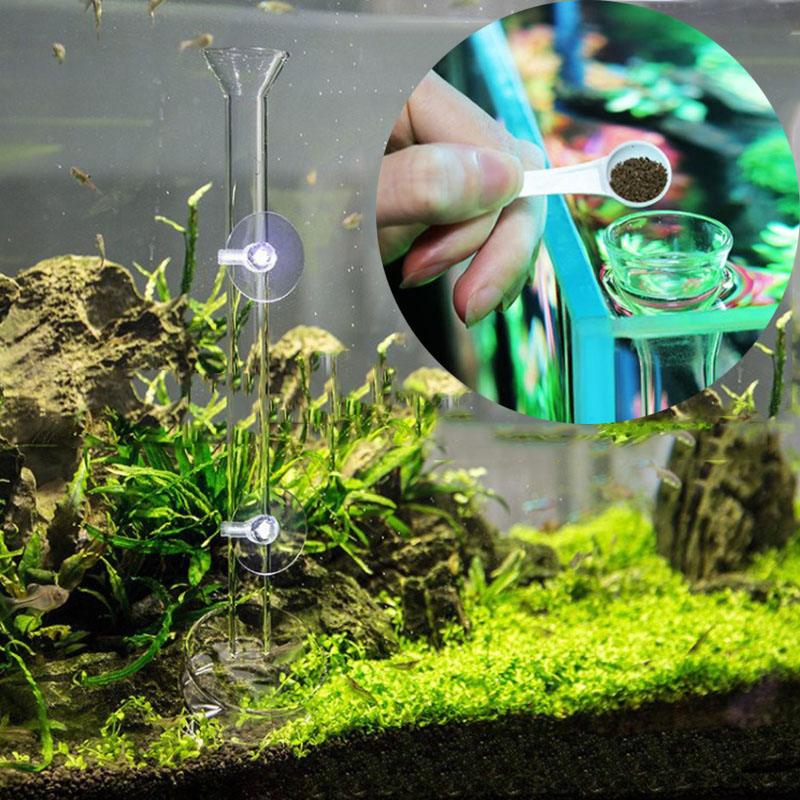 Mangiatoia per acquario in vet - Aquarium Fish Price recensione e prezzo