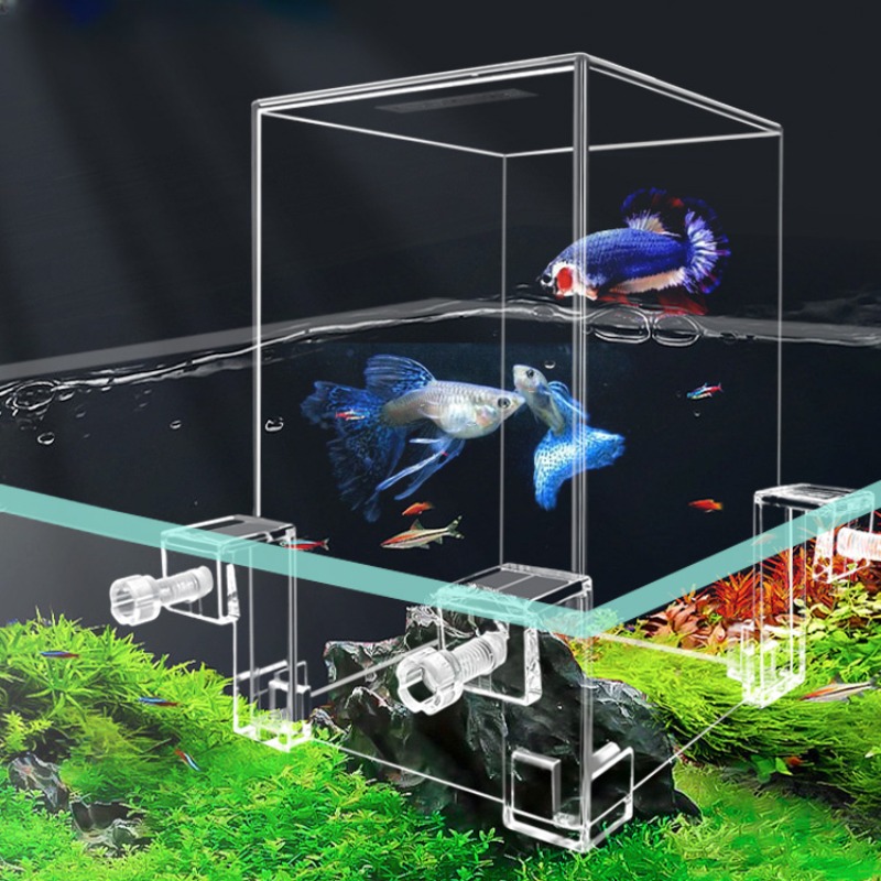 Serbatoi per acquari creativi  - Aquarium Fish Pot recensione e prezzo