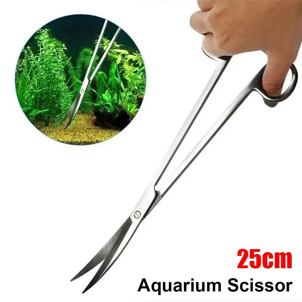 Forbici per Acquario in Acciai - Aquarium Fish Care recensione e prezzo