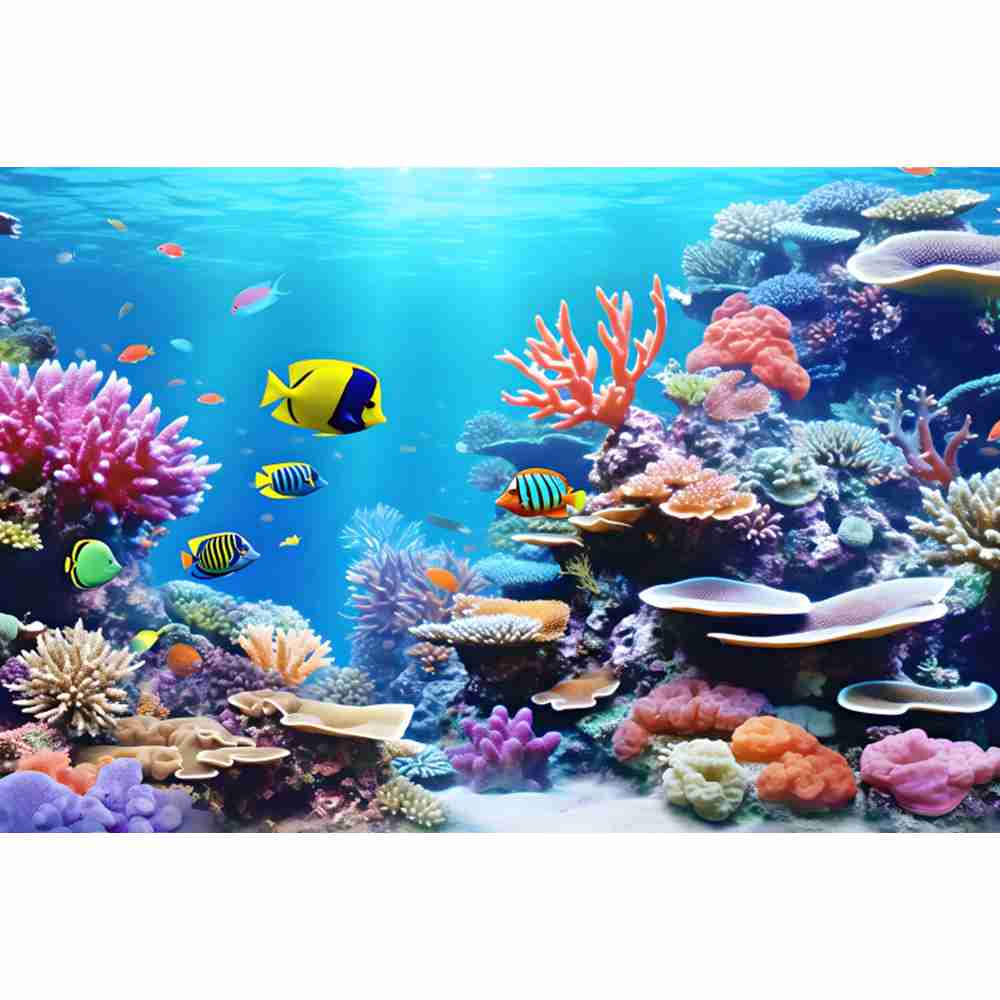 Sfondo fotografico subacqueo d - Aquarium Fish Of The World recensione e prezzo
