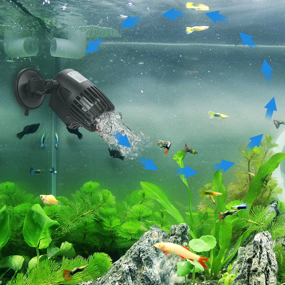 Acquario serbatoio di pesce Wa - Aquarium Fish Care recensione e prezzo
