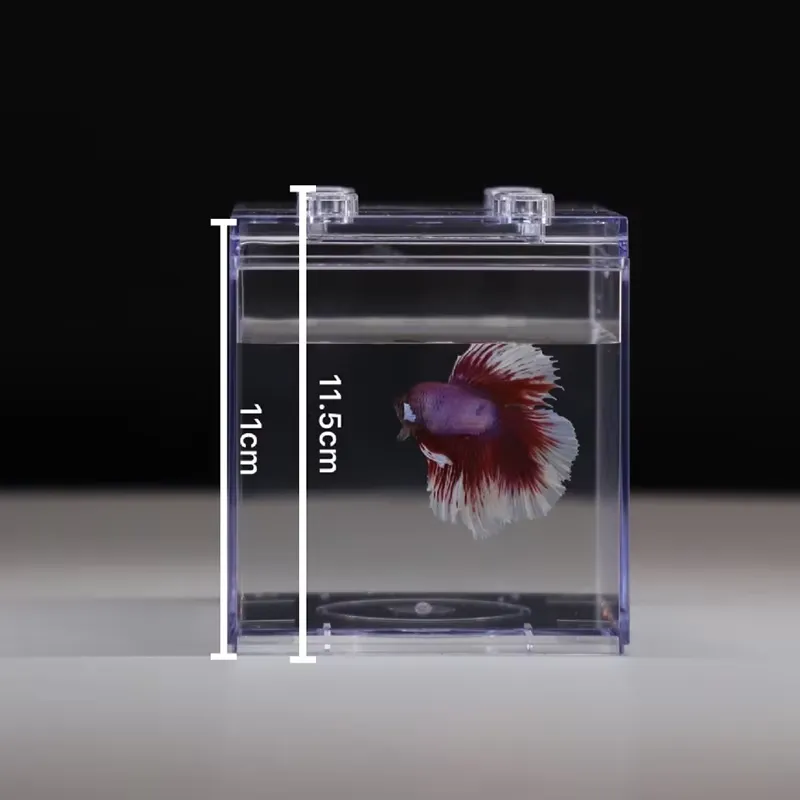 Mini Acquario Relaxlines, Deco - Aquarium Fish Small recensione e prezzo