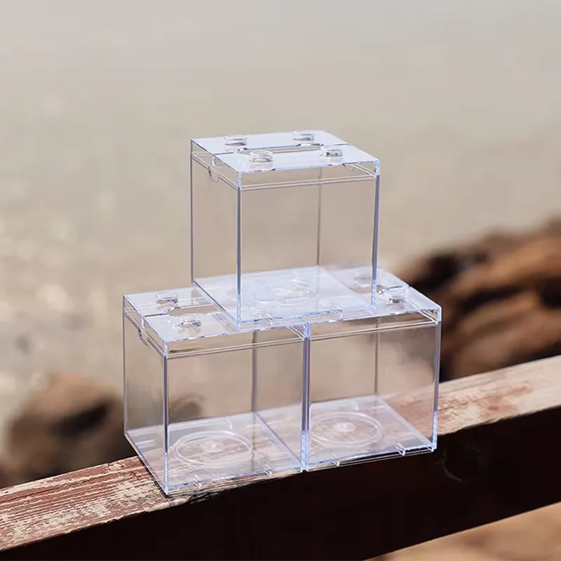 Mini Acquario Relaxlines, Deco - Aquarium Fish Small recensione e prezzo