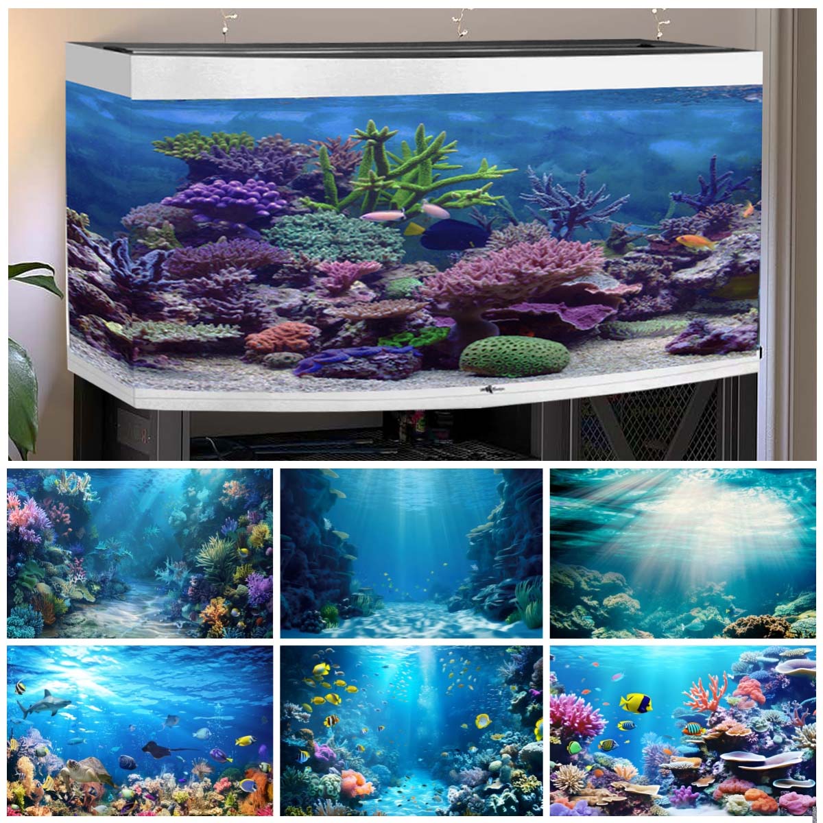 Sfondi del mondo sottomarino p - Aquarium Fish Of The World recensione e prezzo